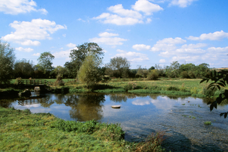 River at Langford Lakes