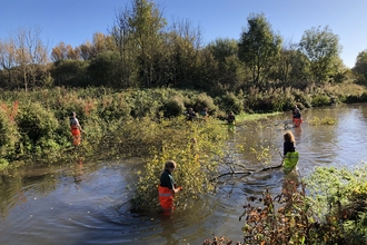Volunteers in a river
