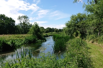 Wylye River