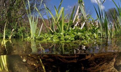 Chalk stream