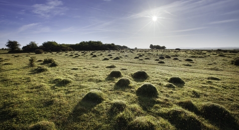 Practical Conservation Traineeship South Wiltshire | Wiltshire Wildlife ...