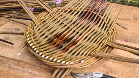 Wild Beings - Mindfulness and Willow Weaving 