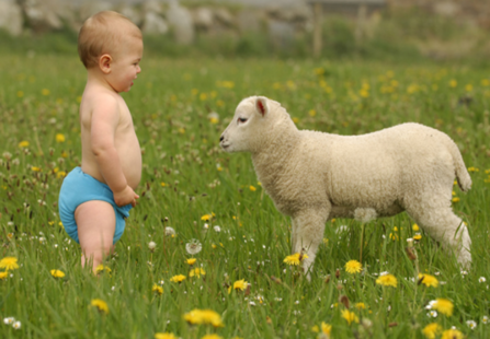 Photo of a baby in a nappy