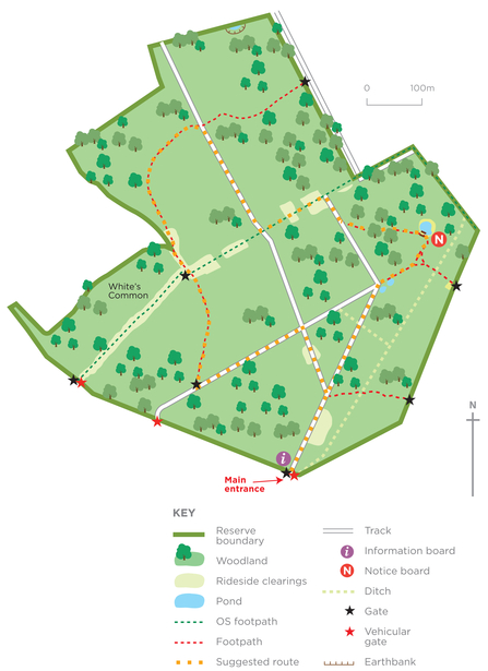 Map of Blackmoor Copse