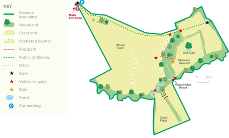 Map of Echo Lodge