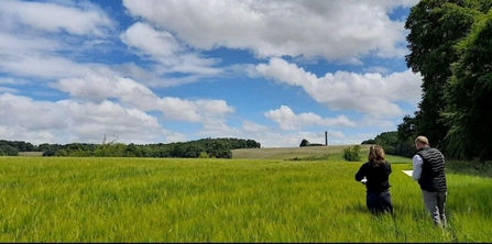 Surveying farmland