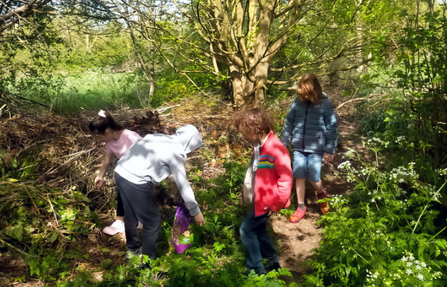 Children in woodland