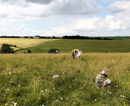 Families explore wildflower meadows