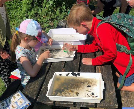 Two children discover their pond dipping treasures!