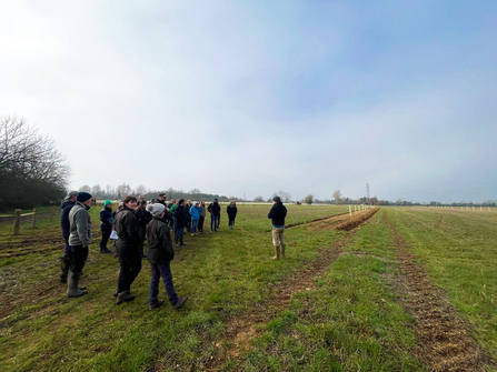 Team tree planting at Great Chalfield