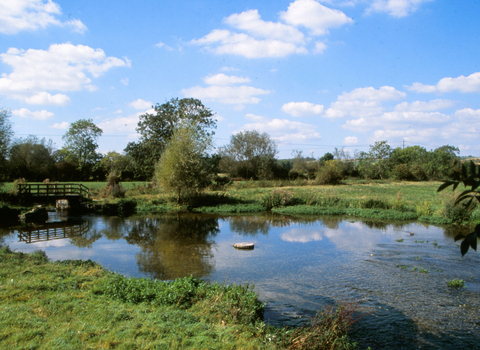 River at Langford Lakes