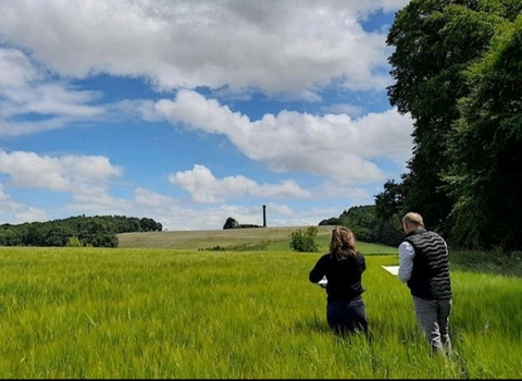 Surveying farmland