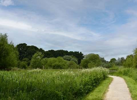 Smallbrook Meadows